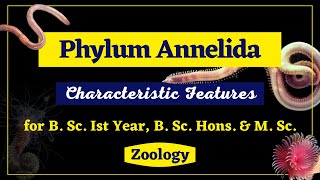 Phylum Annelida II General Characteristics II Zoology II B Sc Ist year B Sc Hons M Sc [upl. by Melgar890]