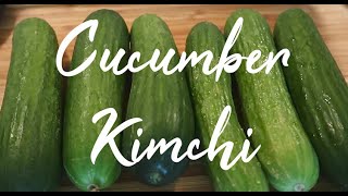 Cucumber Kimchi Recipe  Homemade Cucumber Kimchi [upl. by Baudoin]