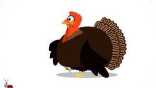 Funny Animated Greeting Ecard Turkey Life [upl. by Dinsmore]