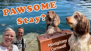 MEVAGISSEY Cornwall  A 24hr Dog Friendly stay [upl. by Zinah]