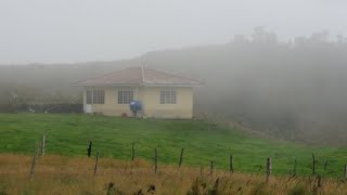 vendo dos propiedaes ganaderas a 40 minutos de Cuenca [upl. by Ahsiliw]