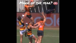 Harry Himmelberg  AFL mark of the year  Crows v Giants [upl. by Aicia638]