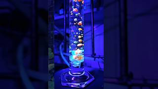 The world of chemical dreams 🌈 chemistry experiment lablife laboratory reaction [upl. by Noswal]