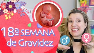 18ª SEMANA DE GESTAÇÃO  Como Sentir Bebê Mexer Tamanho do Feto e Barriga 2º TRIMESTRE DE GRAVIDEZ [upl. by Saltsman]