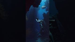 Underwater canyons in Bali 😍🤿 [upl. by Akibma]