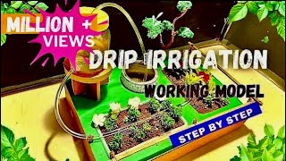 Drip irrigation working model for school dripirrigation educational videos agriculture [upl. by Latini]