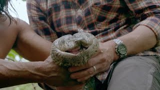 Catching a giant anaconda  Tribes Predators amp Me Episode 1 Preview  BBC Two [upl. by Annahsirhc]