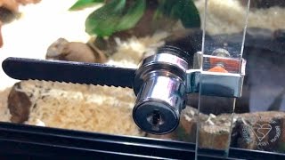 HOW TO INSTALL A VIVARIUM LOCK [upl. by Orten906]