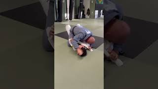 Lapel choke from mount trianglechoke chokes jiujitsu jitsu bjj mma martialarts grappling [upl. by Ymmas]