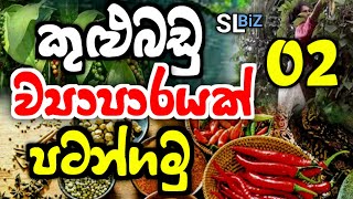 ලක්ෂ ගණන් ලාභ තියෙන කුළු බඩු ව්‍යාපාරය  Business Ideas Sinhala  kulubadu Business Sinhala  SL BiZ [upl. by Ennaej]