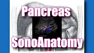 Pancreas Sonoanatomy [upl. by Aihsetel273]