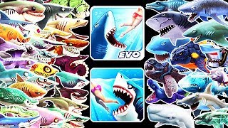 Hungry Shark Evolution vs World  All 41 Sharks Unlocked Buzz [upl. by Loar772]