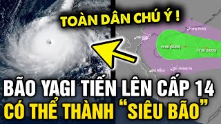 Tin bão Yagi mới nhất SẼ LÊN CẤP 14 và có khả năng phát triển thành SIÊU BÃO số 3 2024  Tin 3 Phút [upl. by Ireland725]