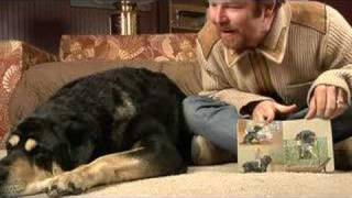 Reading with Carl the Rottweiler  Owens Reading Nook Video [upl. by Afatsuom]