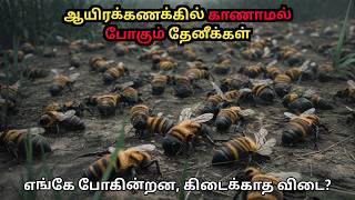 தேனீக்களின் கசப்பான வாழ்க்கை  Colony Collapse Disorder of Bees  Unsolved  Tamil  Parallel Info [upl. by Erdied]