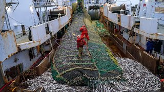 Big Nets fishing Big Fishing Catching Hundreds Tons Fish on the Boat  Big Fishing Net Video 02 [upl. by Aimet]