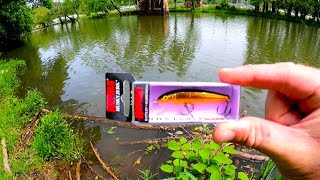 My New Go To Jerkbait for Stained Water  Gold Rapala Husky Jerk 6  Bait Review [upl. by Nosmas705]