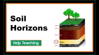 Soil Horizons  Earth Science Lesson Video [upl. by Aplihs265]