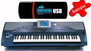 Baykal Korg Pa 800 Pa2x  Harmandalı  MuğlaampAydın Zeybek [upl. by Carder]