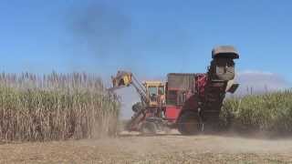 Sugar Cane Harvester in Australia [upl. by Mcmurry]