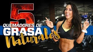 5 QUEMADORES DE GRASA ABDOMINAL PREPARADOS EN CASA 👊🏻👊🏻😯 [upl. by Hgielrebmik]