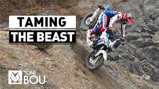 Taming the Beast by Toni Bou 🔥🔥 [upl. by Ayamat]