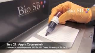 Bio SB Chromogenis InSitu Hybridization CISH  Demonstration Video [upl. by Arlon169]