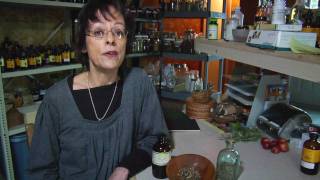 How to Identify Black Cohosh [upl. by Terag]