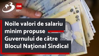 Noile valori de salariu minim propuse Guvernului de către Blocul Național Sindical [upl. by Brigham]