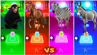 Ferdinand Dance 🆚 Funny Horses 🆚 Funny Zebra 🆚 Funny Donkey💥Who ln The Best 👍 coffin Dance✅ [upl. by Butterfield]