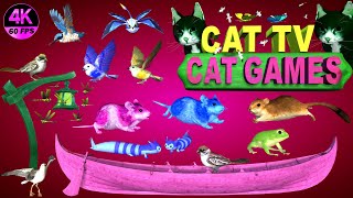 CAT GAMES COMPILATION  BEST CAT GAMES ON SCREEN  CAT ENTERTAINMENT VIDEOS MOUSE amp BIRDS 4K8 HOURS [upl. by Aihsekal]