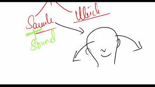 Otolith  Utricle  saccule and maculae  Physiology of balance  equilibrium and Ear [upl. by Akili]