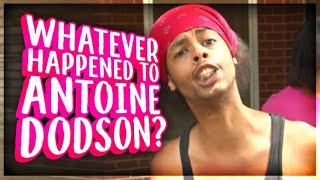 Whatever Happened to Antoine Dodson [upl. by Harts135]