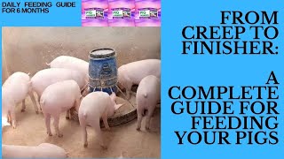 Feeding Pigs from Creep Stage to Finisher StageComplete guide [upl. by Ovida]