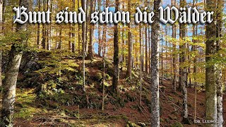 Bunt sind schon die Wälder German folk songEnglish translation [upl. by Sinnoda]