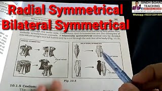 Radial and Bilateral Symmetrical Animals in HindiUrdu [upl. by Selimah]