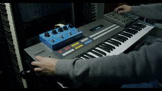 Roland JX8P Improvisation 2 wPG800 TC Flashback and Quantec QRSXL [upl. by Aerahs973]