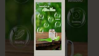 Benefici di aloe vera da bere  Benefits of drinking aloe vera gel English  italiano [upl. by Esya508]