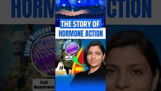 The Story of Hormone Action  NEET Concept neetbiology neet2025 neet2024 neet riturattewal [upl. by Kylynn832]