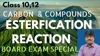 Esterification Reaction Class 10 amp 12 physicsconceptsbyalisir [upl. by Combe]