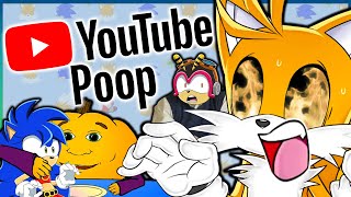 YTP Tails Googles a Toothpick Tails And Sonic Pals [upl. by Dnomyaw153]