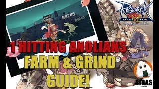 1 Hitting Anolian Guide amp Farming Spot  Ragnarok Mobile  Eternal Love [upl. by Harli]