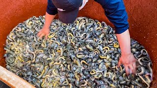 Korean Boiled mud fish soup Chueotang  Korean street food [upl. by Veneaux]