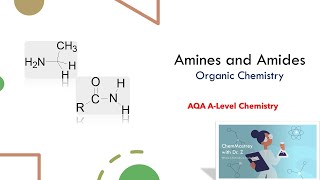 Amines and Amides Organic chemistry A level AQA Chemistry [upl. by Oiramed]