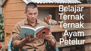 Belajar Ternak Ayam Petelur Live Senin 2 September 2024 [upl. by Neraj]