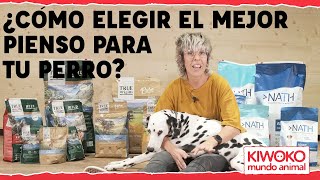 ¿Cómo elegir el mejor pienso para perros [upl. by Burtie]