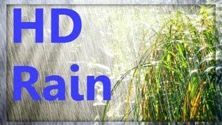 ☂ HD Rain Video  Watch Cold Lush Drops to Relax [upl. by Samaria]