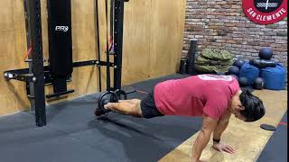 Straight Arm Ring Plank [upl. by Rubel]