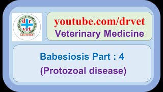 Babesiosis Part 4 [upl. by Berta16]