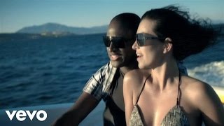 Taio Cruz  Break Your Heart Official Video ft Ludacris [upl. by Medovich626]